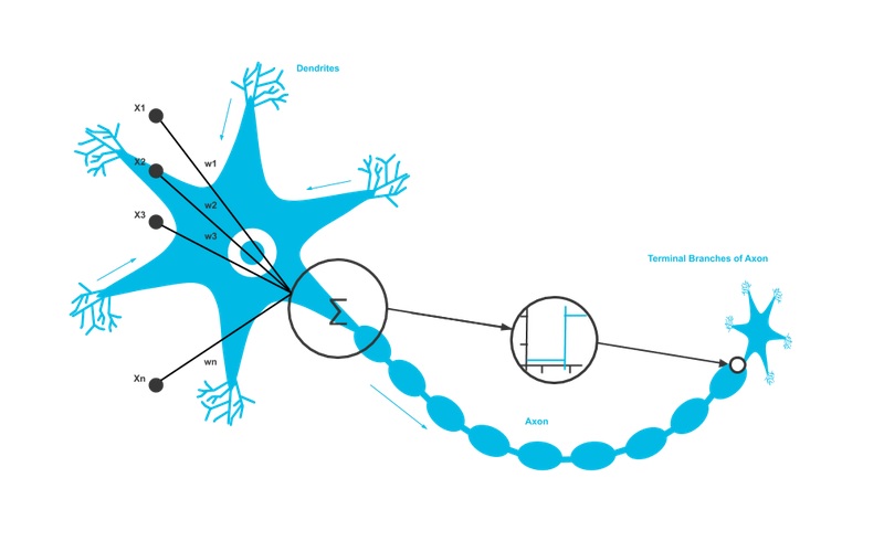 Neuron in deep store learning